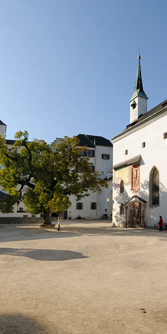 Innenhof der Festung Hohensalzburg mit historischen Gebäuden und großem Baum unter klarem Himmel